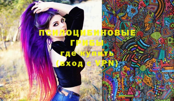 бошки Новодвинск