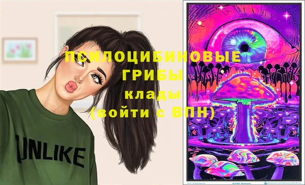 бошки Новодвинск