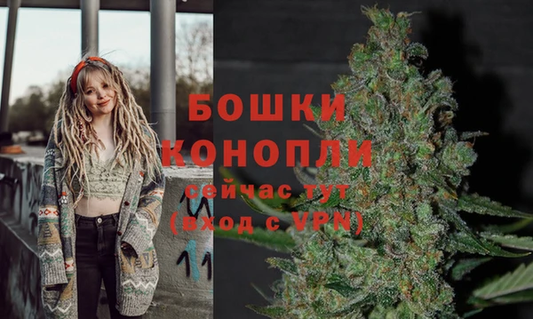 бошки Новодвинск