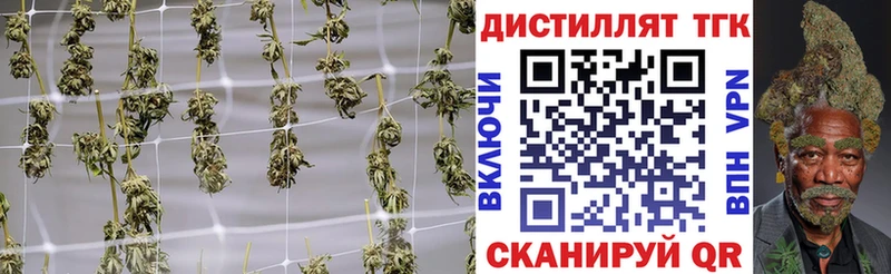 ТГК Wax  Агидель 