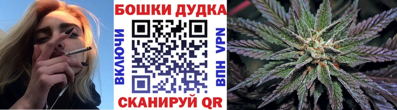 купить   Агидель  Бошки Шишки Amnesia 
